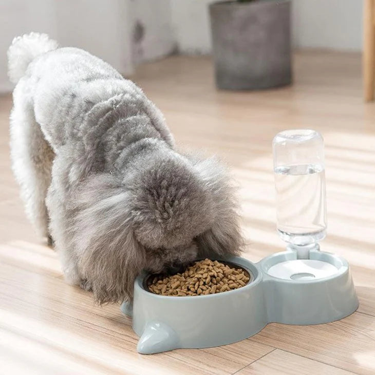 Plato Para Mascotas Con Dispensador Agua